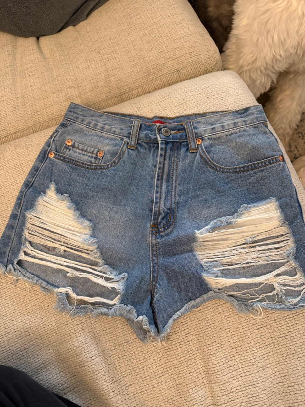 Signature8 Ripped Light Blue Denim High-Rise Shorts